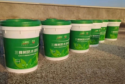 三棵樹綠意凈味筑防線 廣西長(zhǎng)科新材料項(xiàng)目的水性涂料應(yīng)用實(shí)踐